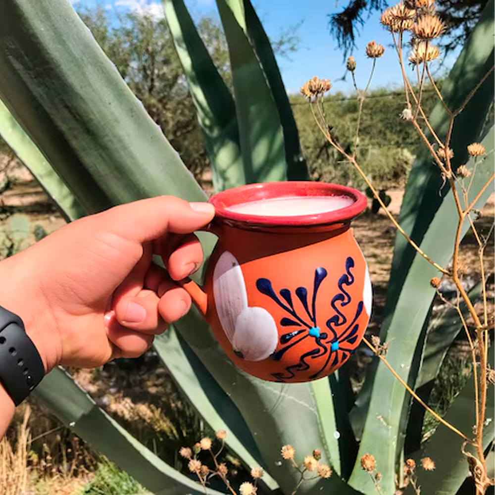 Mão segurando caneca contendo um liquido branco, com paisagem de plantas atrás.