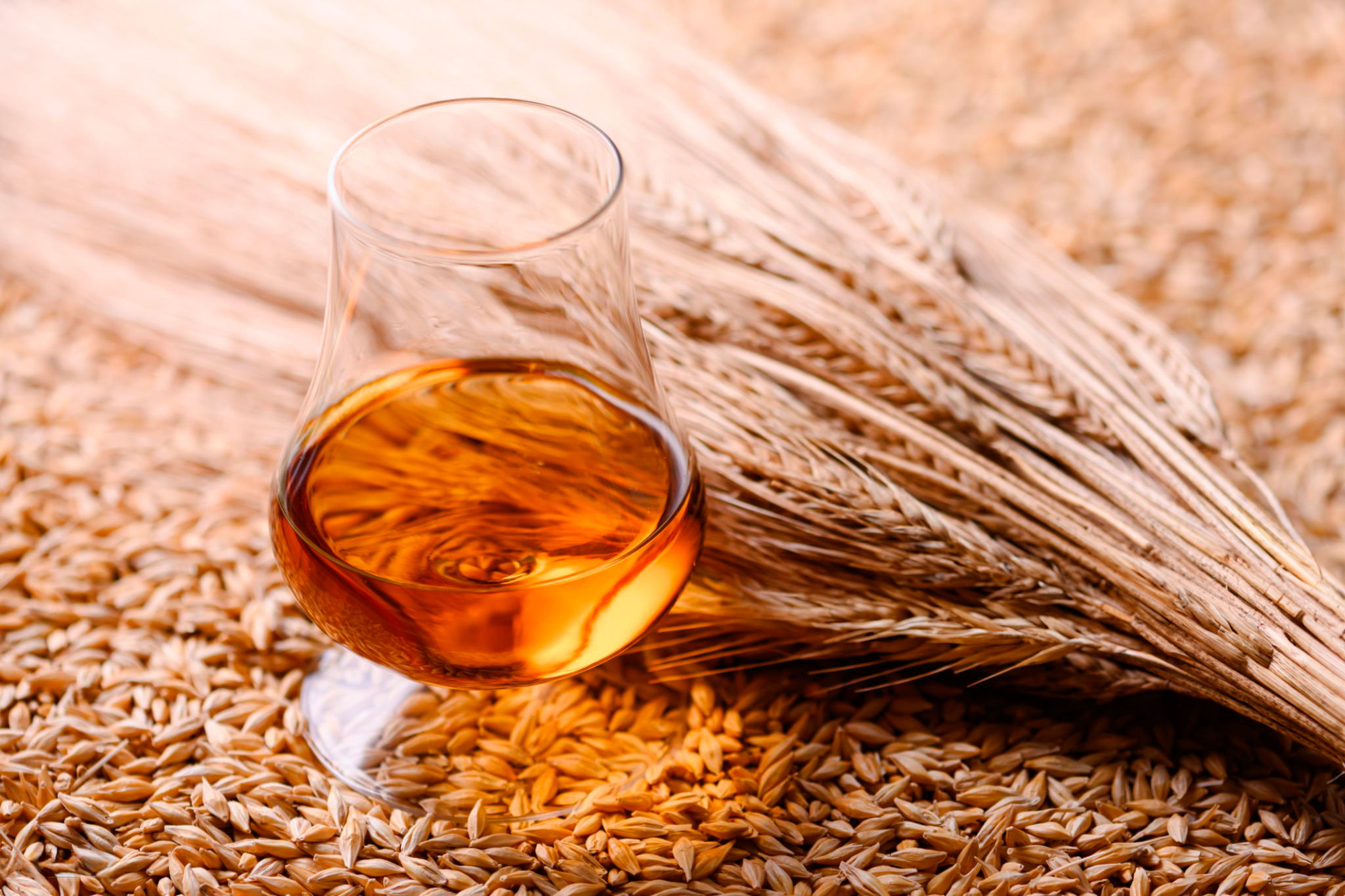 Por que Alguns Destilados Custam Tanto? O que Influencia o Preço de um Whisky ou Conhaque Premium?