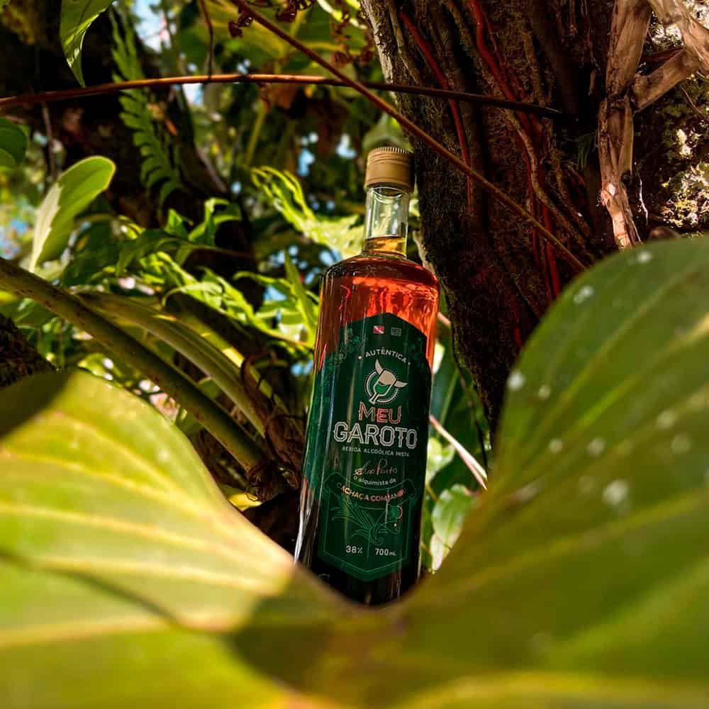 Bebidas típicas brasileiras que você precisa conhecer