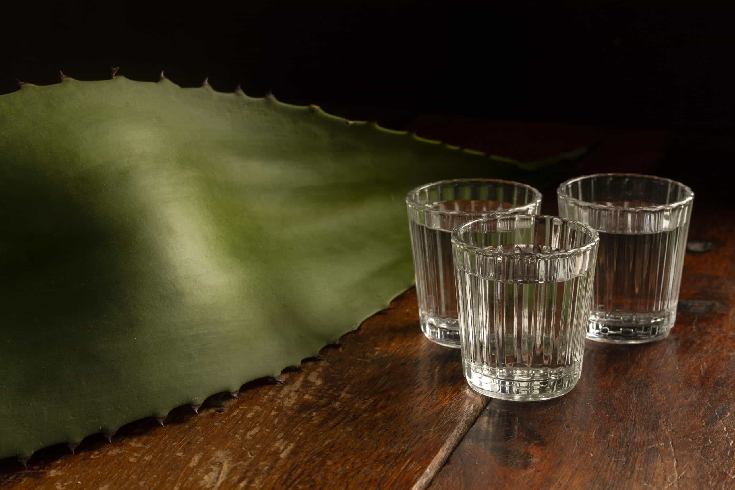 Cachaça, Rum, Aguardente ou Vodka? Entenda de Uma Vez por Todas as Diferenças